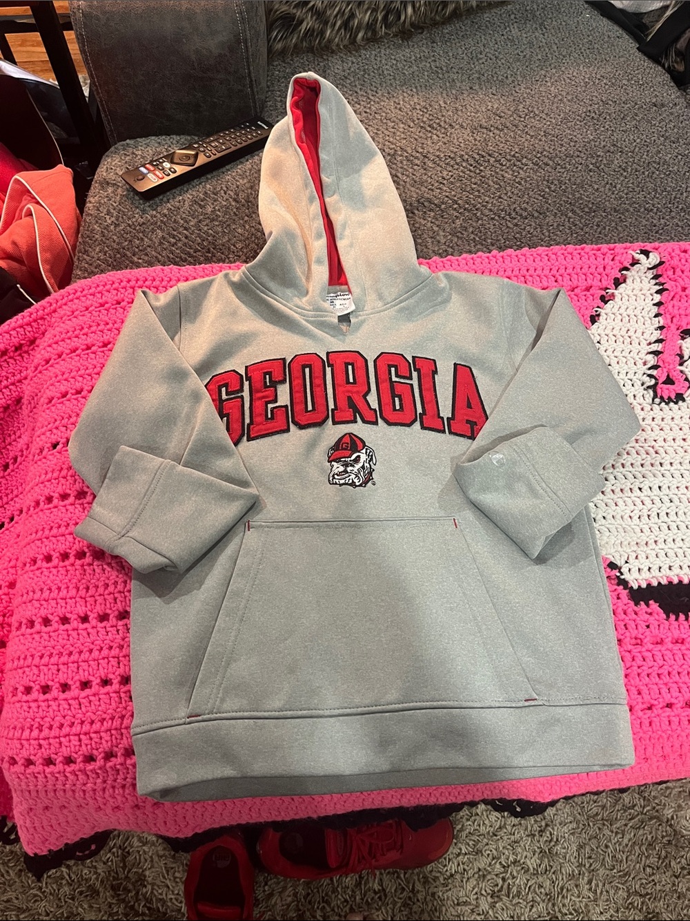 Champion Georgia Kids Hooded Sweatshirt in Gray and Red